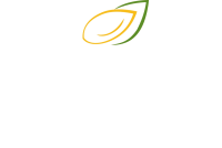 ALINSUMOS-LOGO-DISTRIBUIDOR